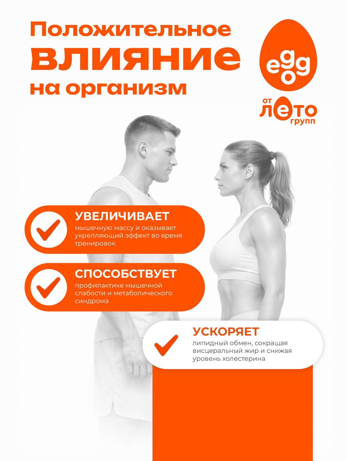 Яичный протеин вкус Ваниль (0,5кг)