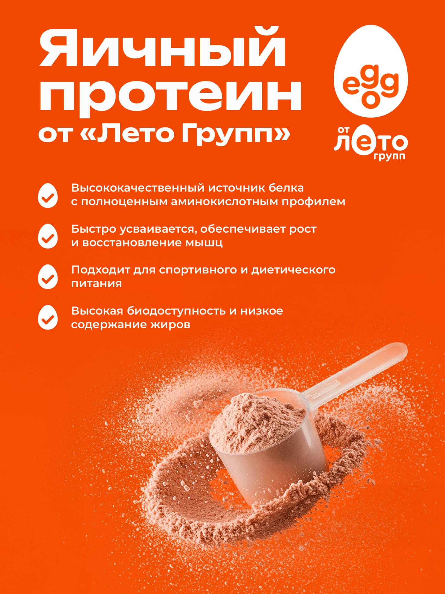 Яичный протеин вкус Шоколад (0,5кг)